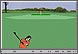 Hole in one